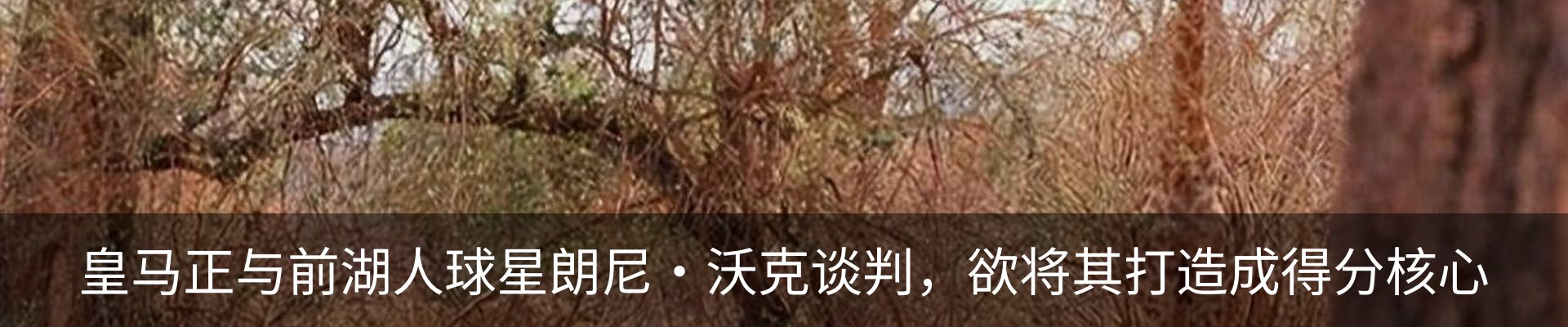 内页banner